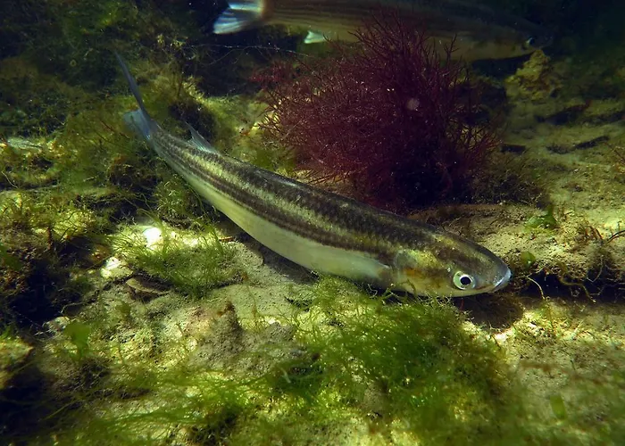Tenuta Lio Maggiore Lido di Jesolo
