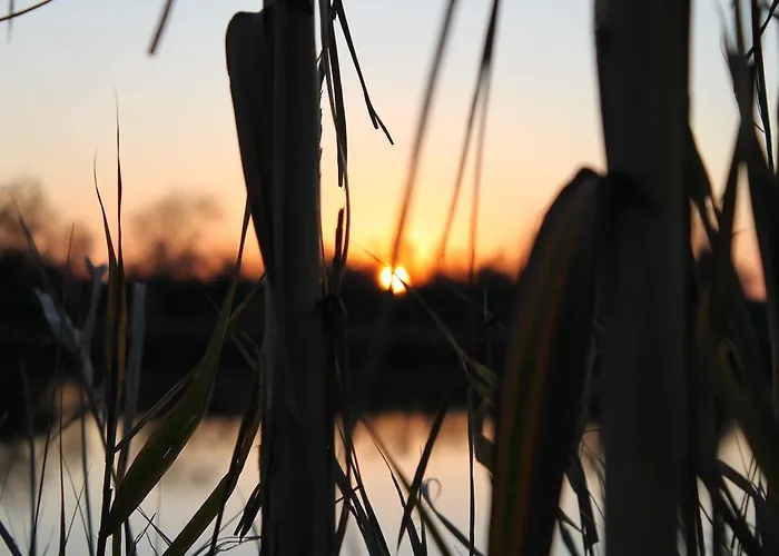 Tenuta Lio Maggiore * Lido di Jesolo