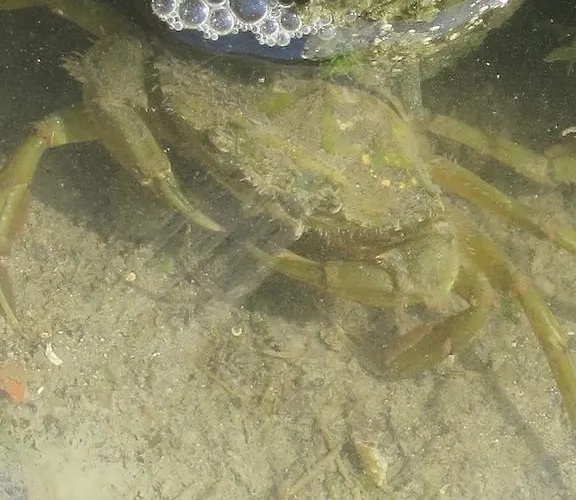 Appartamento Tenuta Lio Maggiore Lido di Jesolo