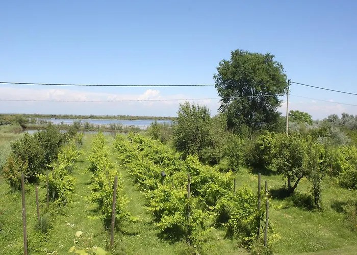 Appartamento Tenuta Lio Maggiore *