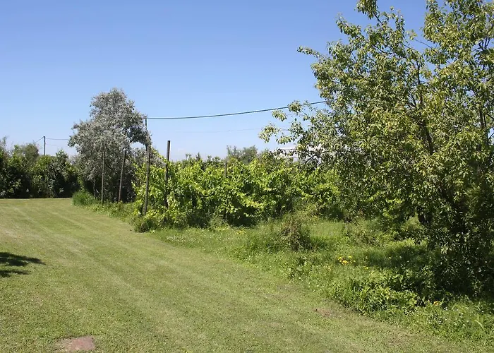 Tenuta Lio Maggiore *